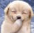 ちょい悪オヤジ