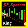 Simple_DF_System
