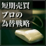 短期売買　プロの為替戦略