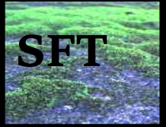 WeStreetFilter14v1USDJPY1h