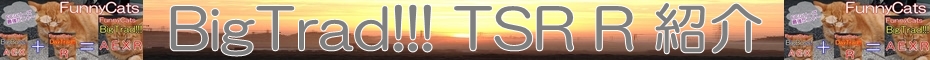 fcbt_syoukai.jpg