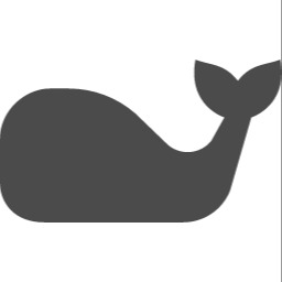 SkyWhale