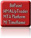 BitPoint_HMAUpTrader