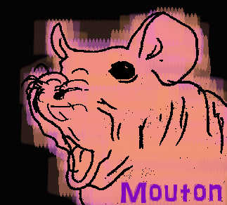 Mouton_USDJPY