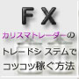 FX秘伝トレードシステム