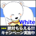 800本ご購入御礼！・Forex White Bear V3