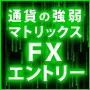 通貨の強弱マトリックス　FXエントリー