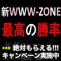 WWW-ZONE・脅威の反転率９５％・ダブルゾーン・矢印でエントリー！！！