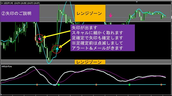 wwwzone700-3.jpg
