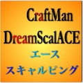 CraftManDreamScalエース(USDJPY専用)