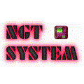 NGT SYSTEM