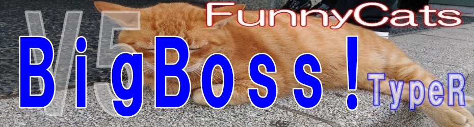 fctrv5_930250.jpg