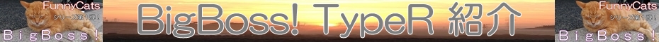 fx-on_typer.jpg