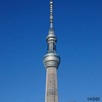 nikku