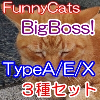 BigBoss!_A/E/X ３種セット特別価格・限定３０本・３０％off
