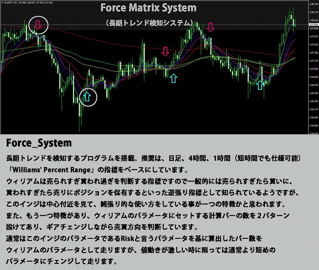 s-force2.jpg