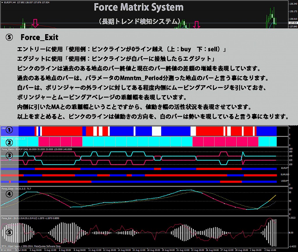 s-force5.jpg