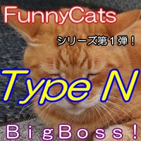 FC_BigBoss!_TypeN