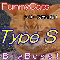 FC_BigBoss!_TypeS
