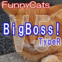 FC_BigBoss!_TypeR