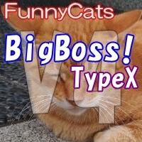 FC_BigBoss!_TypeX
