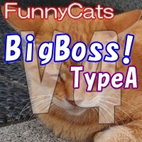 FC_BigBoss!_TypeA