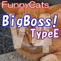 FC_BigBoss!_TypeE