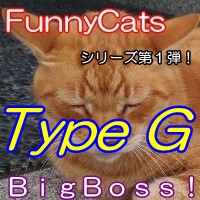 FC_BigBoss!_TypeG
