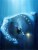 Megalodon FUND